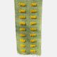 Купити Carpet path Dandelions in the grass від MAIIMO