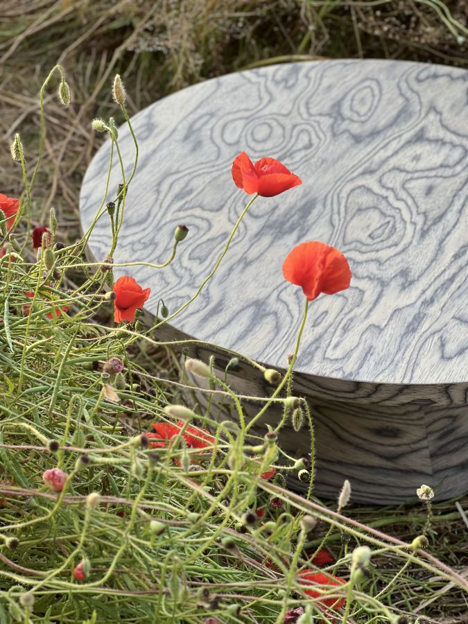 Купити Столик журнальний World wild table cone від MAIIMO