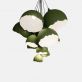 Купити Chandelier Grona 11 від MAIIMO