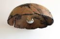 Купити Wooden chandelier Divoptakh від MAIIMO