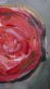 Купити Картина Rose in the Mist 30*21 см від MAIIMO