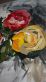 Купити Картина Roses of Nikopol 60*50 см від MAIIMO