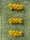 Купити Carpet path Dandelions in the grass від MAIIMO