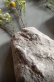 Купити Sculptural wall panel Vases від MAIIMO