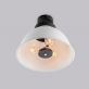 Купити Стельова люстра SCHOOLHOUSE style D390 від MAIIMO