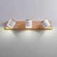 Купити Sconce AMERICAN LIGHT 3 lamps від MAIIMO