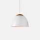 Купити Pendant lamp URBAN LIGHT D420 від MAIIMO