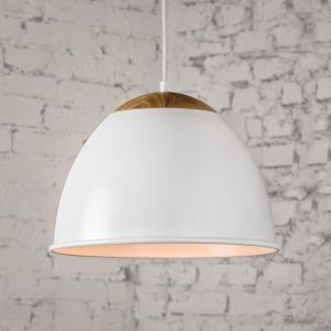 Pendant lamp URBAN LIGHT D420