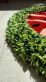 Купити Tufted carpet Watermelon від MAIIMO
