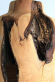 Купити Wooden pendant lamp Acorn  від MAIIMO