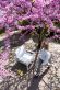 Купити Outdoor armchair IBIZA від MAIIMO